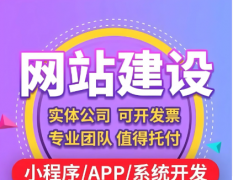 网站APP/小程序/软件/公众号/搭建制作/AI人工智能H5